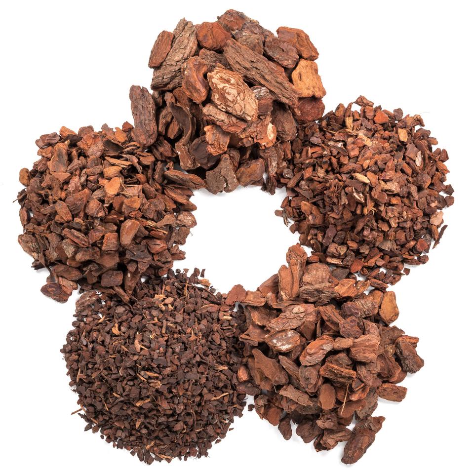 Píniová kôra dekoračná frakcie 1